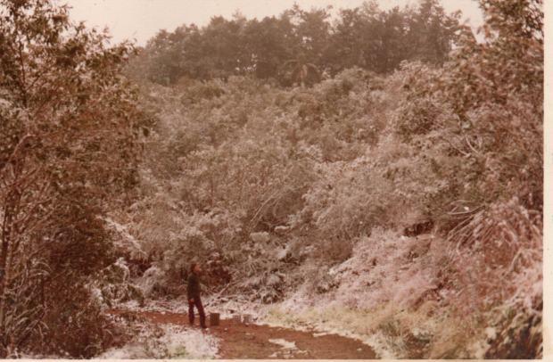 NEVE EM ALTO PADRE ETERNO